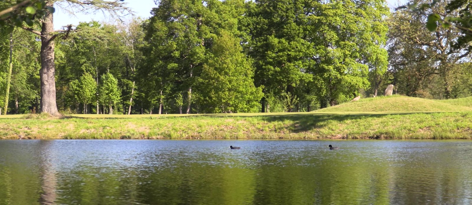Fairway et arbres du domaine